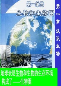 地球表层生物和生物的生存环境