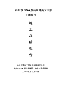 S206工程施工总结报告