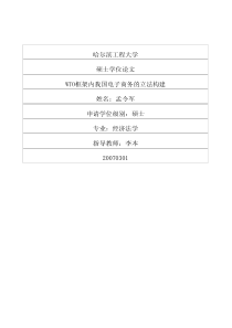 WTO框架内我国电子商务的立法构建