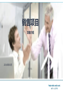 SAP销售项目Demo_20160521.