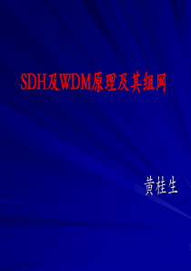 SDH及WDM原理及其组网