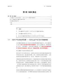 SDH概述