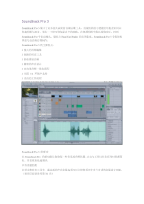 SoundtrackPro3