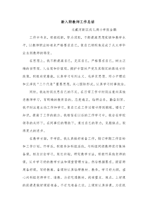 新入职教师工作总结