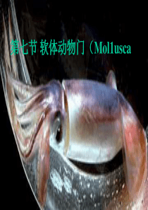 生物14