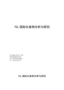 TCL国际化案例分析与研究(第九小组)