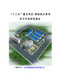 “十三五”重点项目-柑桔类水果项目可行性研究报告