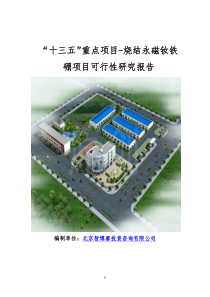 “十三五”重点项目-烧结永磁钕铁硼项目可行性研究报告