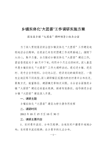“大团委”调研实施方案(定稿)