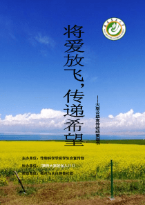“感恩同行,放飞希望”大型公益活动策划书