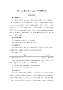 《Howmucharethesepants》单元教学设计