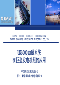 UN6000励磁系统在大型机组的应用.