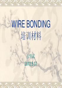 WB培训资料