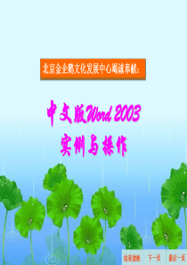 word使用技巧与提高