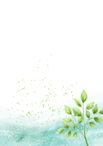 word模板___清新背景1