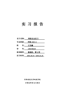 18王宝鑫网络安全实习报告