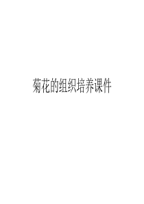菊花的组织培养课件