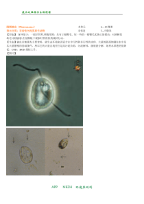 废水处理指示生物图谱