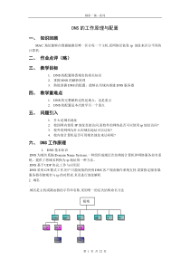 DNS的工作原理与配置