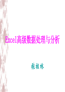 Excel电子表格高级数据处理与分析