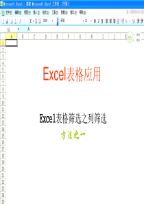 EXCEL表格列的筛选方法之一