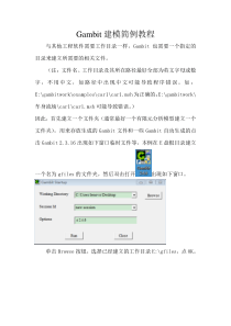 Gambit详细操作步骤1