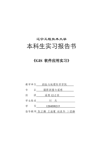 GIS软件应用实习报告