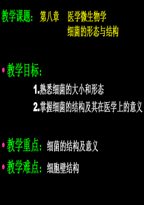 微生物学总论1