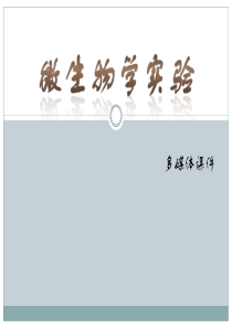 微生物学试验多媒体课件