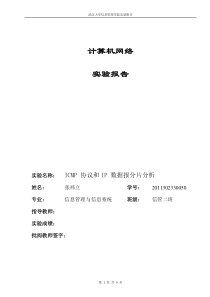 ICMP协议和IP数据报分片分析实验报告