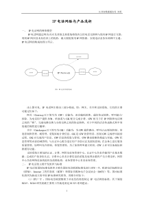 IP电话网络与产品浅析