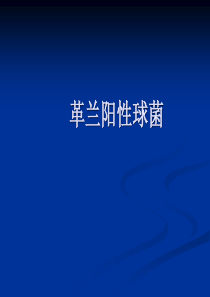 微生物检验6