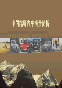 中国越野汽车消费简析