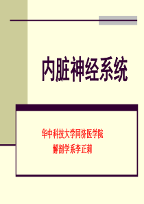 I内脏神经系统.