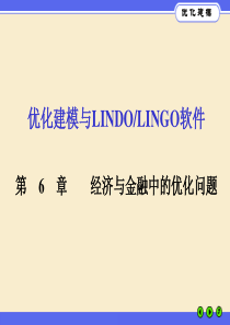Lingo经济与金融中的优化问题