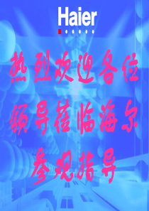 海尔业务流程再造(2H)