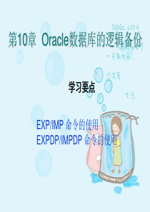 Oracle数据库开发实用教程第10章