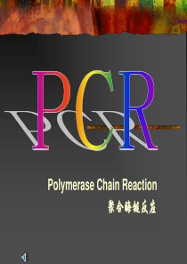 PCR专题讲座