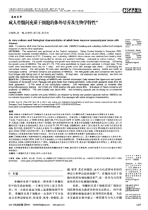 成人骨髓间充质干细胞的体外培养及生物学特性