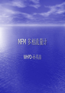 MFM多相流量计