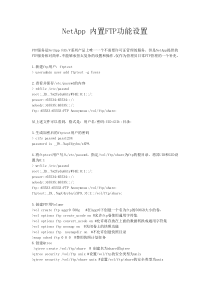 NetAppFAS存储内置FTP功能设置指南