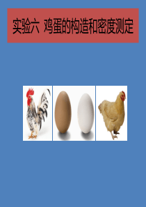 鸡蛋的构造和密度测定