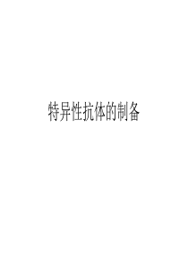 91-特异性抗体的制备