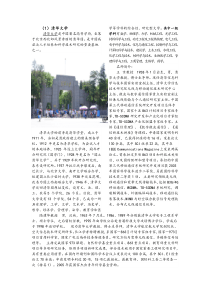 985,211大学