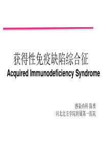 AIDS课件22