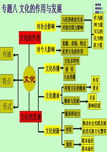 8专题八文化的作用与发展