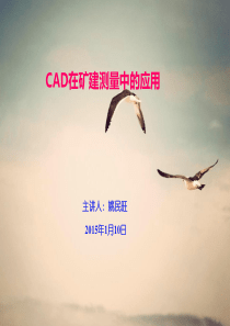 AUTOCAD在测量中的应用.