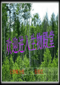 欢迎进入生物殿堂