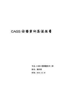 CASS绘图实训总结报告