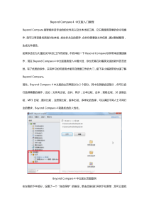 BeyondCompare4中文版入门教程